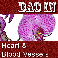 Qigong Exercises: Dao In Heart and Blood Vessels