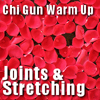 Joints exercises
