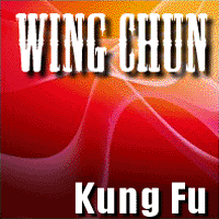 wing chun, wingchun online tutorials